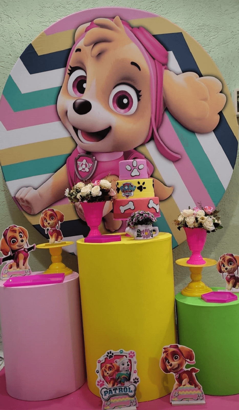 pegue e monte skye patrulha canina